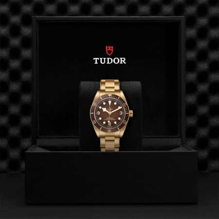 TUDOR Black Bay 58 Bronze watch, 39mm bronze case, Riveted bronze bracelet