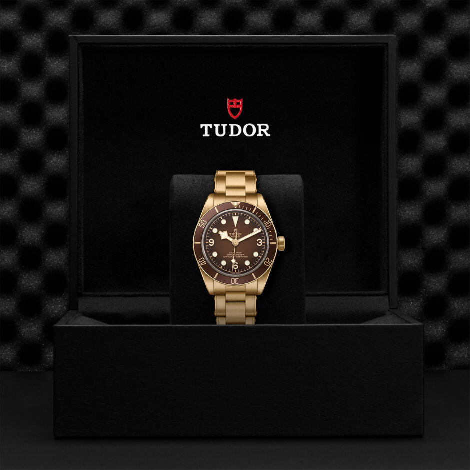 TUDOR Black Bay 58 Bronze watch
