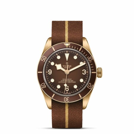 TUDOR Black Bay 58 Bronze watch, 39mm bronze case, Riveted bronze bracelet