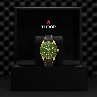 TUDOR Black Bay 58 yellow gold case 39 mm, brown alligator leather bracelet watch