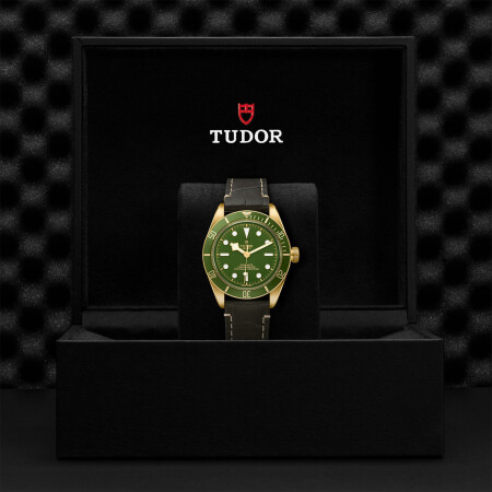 TUDOR Black Bay 58 yellow gold case 39 mm, brown alligator leather bracelet watch