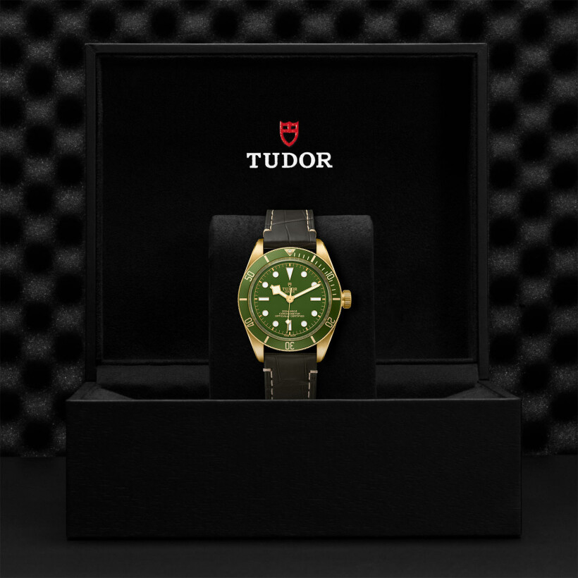 TUDOR Black Bay Fifty-Eight yellow gold case 39 mm, brown alligator leather bracelet watch