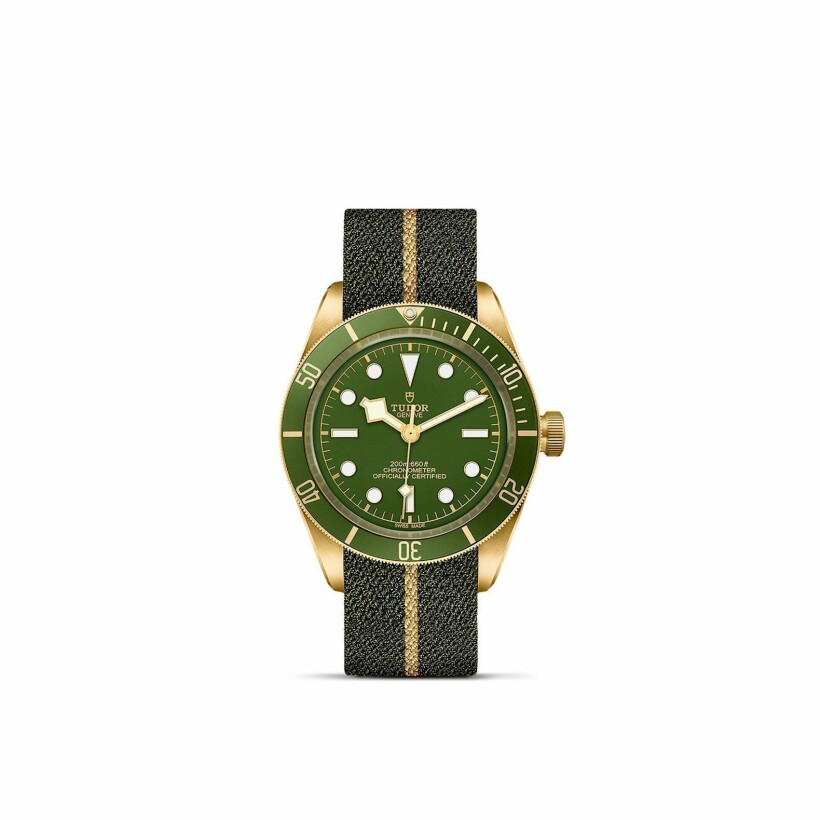 TUDOR Black Bay 58 yellow gold case 39 mm, brown alligator leather bracelet watch