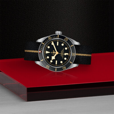 TUDOR Black Bay 58 watch, 39 mm steel case, fabric strap