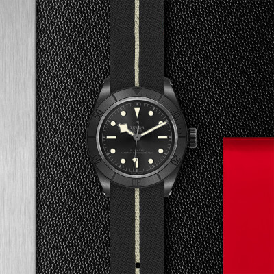 TUDOR Black Bay Ceramic watch