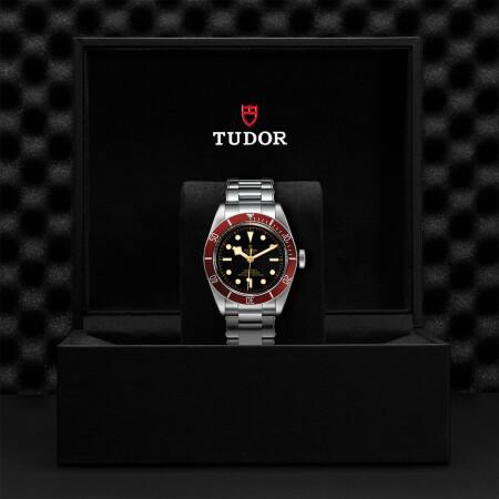 Montre TUDOR Black Bay boîtier en acier 41 mm, bracelet en acier riveté