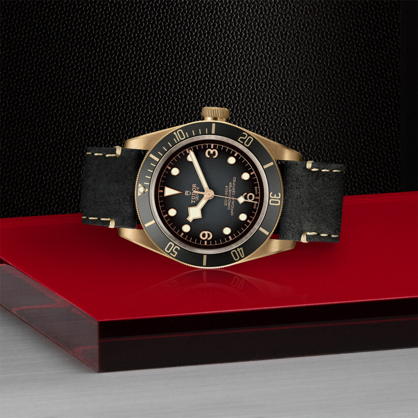 TUDOR Black Bay Bronze watch, 43 mm bronze case, black leather strap