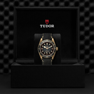 TUDOR Black Bay Bronze watch, 43 mm bronze case, black leather strap