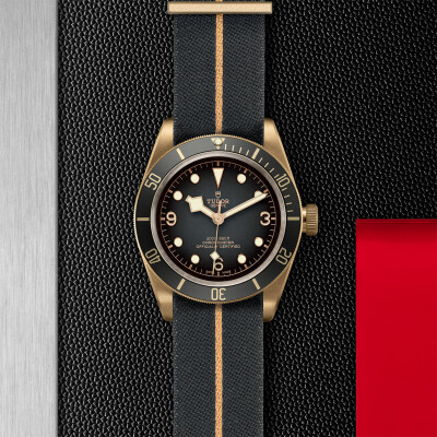 TUDOR Black Bay Bronze watch, 43 mm bronze case, fabric strap