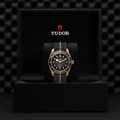 TUDOR Black Bay Bronze watch, 43 mm bronze case, fabric strap