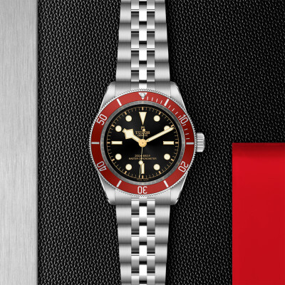 TUDOR Black Bay watch, 41mm steel case, Steel bracelet