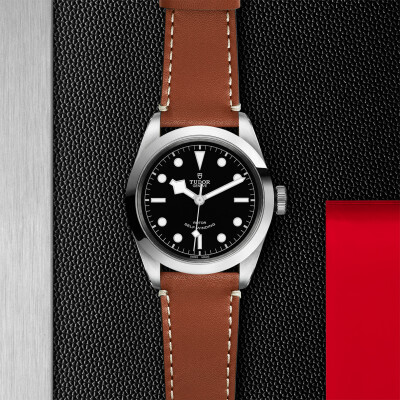 TUDOR Black Bay 41 watch, 41 mm steel case, brown leather strap