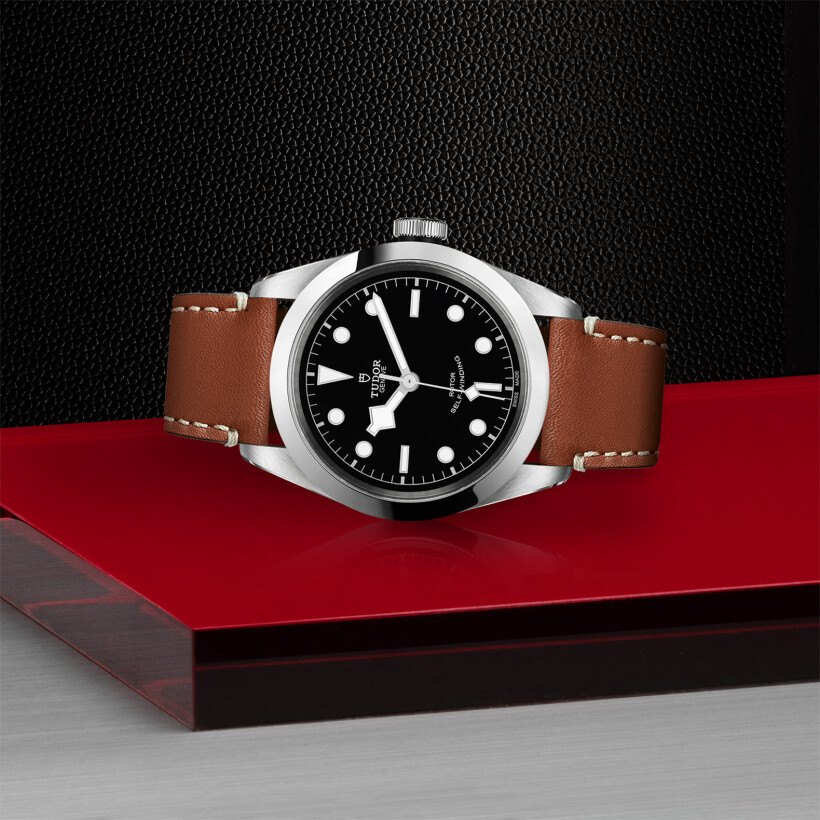 TUDOR Black Bay 41 watch, 41 mm steel case, brown leather strap
