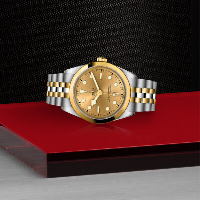 Montre TUDOR Black Bay 36 S&G boîtier en acier 36 mm, bracelet en acier et or jaune