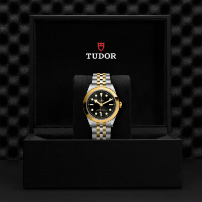 TUDOR Black Bay 39 S&G watch,39 mm steel case, steel and yellow gold bracelet