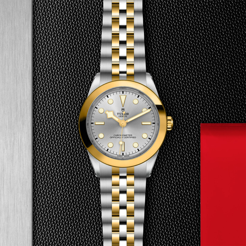 TUDOR Black Bay 39 S&G watch,39 mm steel case, steel and yellow gold bracelet