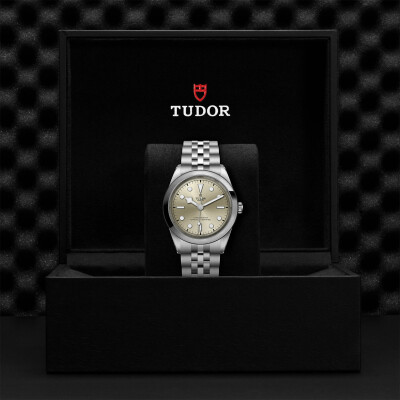 Montre TUDOR Black Bay 41 boîtier en acier, 41 mm, bracelet en acier