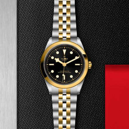 TUDOR Black Bay 41 S&G watch,41 mm steel case, steel and yellow gold bracelet