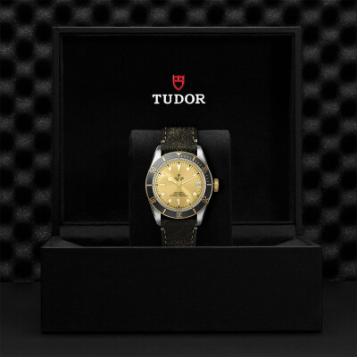 TUDOR Black Bay S&G watch, 41 mm steel case, aged leather strap