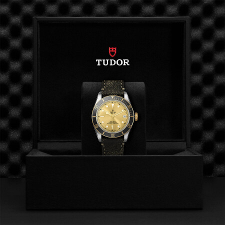 TUDOR Black Bay S&G watch, 41 mm steel case, aged leather strap