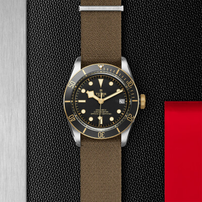 TUDOR Black Bay S&G watch, 41 mm steel case, fabric strap