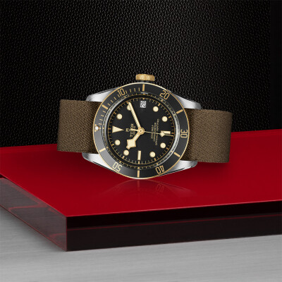 Montre TUDOR Black Bay S&G boîtier en acier 41 mm, bracelet en tissu