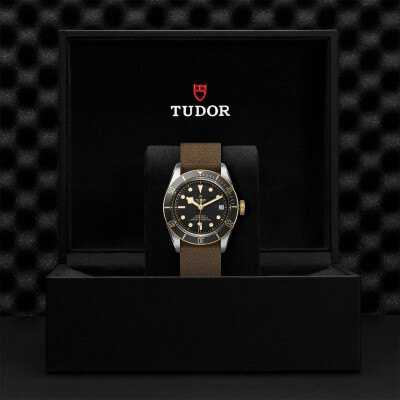 Montre TUDOR Black Bay S&G boîtier en acier 41 mm, bracelet en tissu