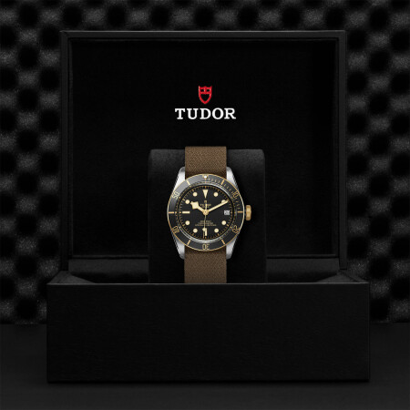 TUDOR Black Bay S&G watch, 41 mm steel case, fabric strap