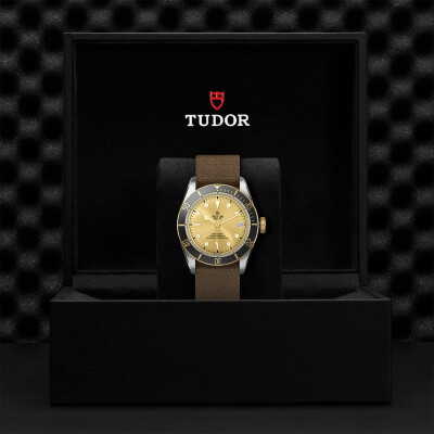 TUDOR Black Bay S&G watch, 41 mm steel case, fabric strap