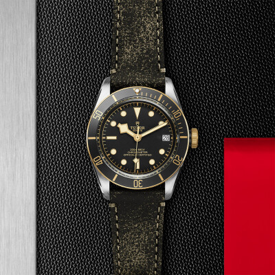 TUDOR Black Bay S&G watch, 41 mm steel case, aged leather strap