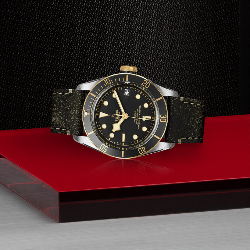 TUDOR Black Bay S&G watch, 41 mm steel case, aged leather strap