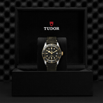 TUDOR Black Bay S&G watch, 41 mm steel case, aged leather strap