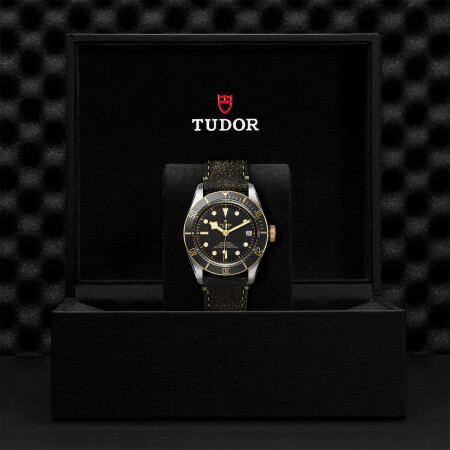 Montre TUDOR Black Bay S&G boîtier en acier 41 mm, bracelet en cuir vieilli