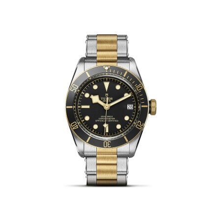 Montre TUDOR Black Bay S&G boîtier en acier 41 mm, bracelet en acier et or jaune