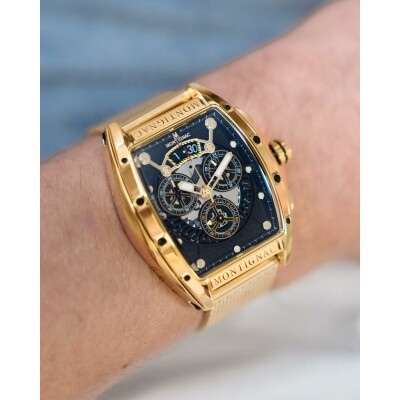 Montre Montignac Paladin MOW1212