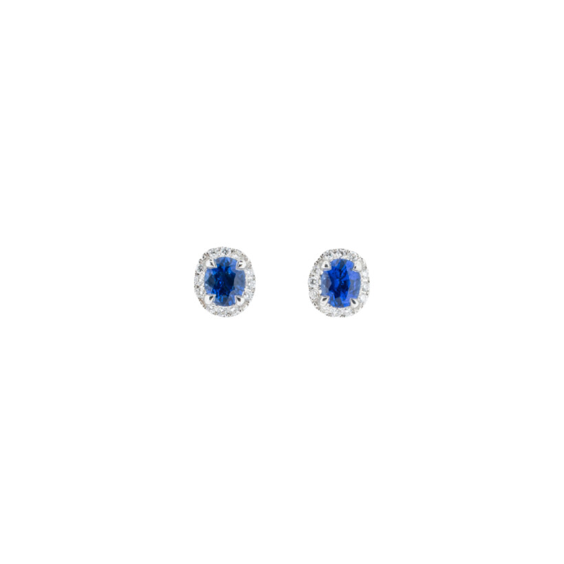 Puces d'oreilles en or blanc, saphirs et diamants