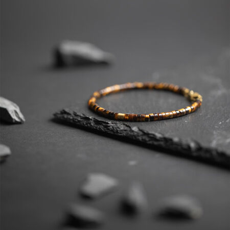 Bracelet Gemini Classics en acier et œil de tigre