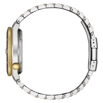 Montre Citizen Tsuyosa Shore NJ0234-58X