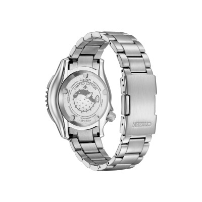 Montre Citizen Promaster Marine NY0161-63L