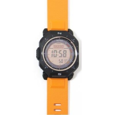 Montre Pro Trek PRG-69-4ER