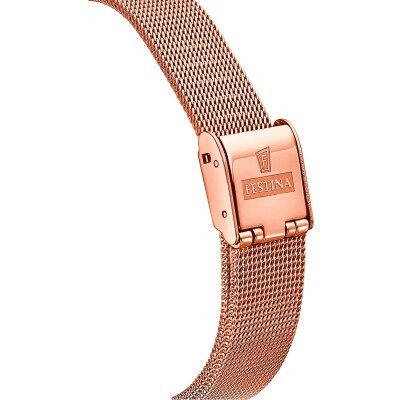 Montre Festina Automatique F20581/2