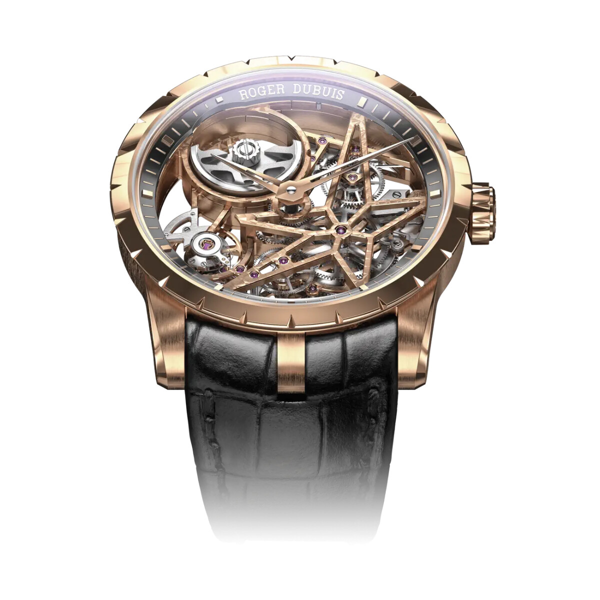 Maison horlog re Roger Dubuis