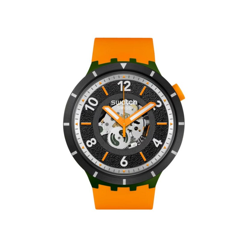 Montre Swatch Power of Nature Fall-Iage SB03G107