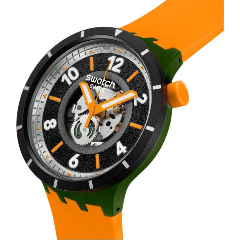 Montre Swatch Power of Nature Fall-Iage SB03G107