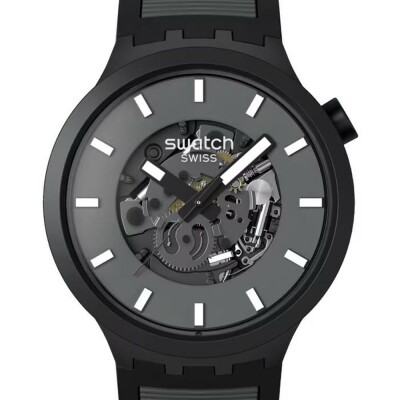 Montre Swatch Essentials Past The Horizon