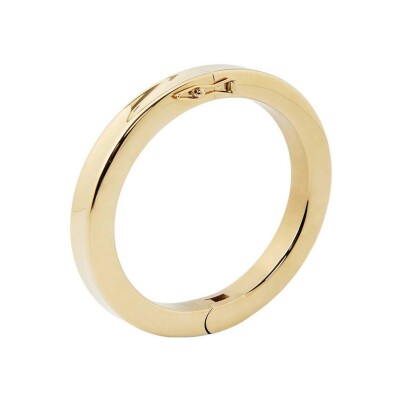 Bracelet jonc Zag Darwin en acier doré