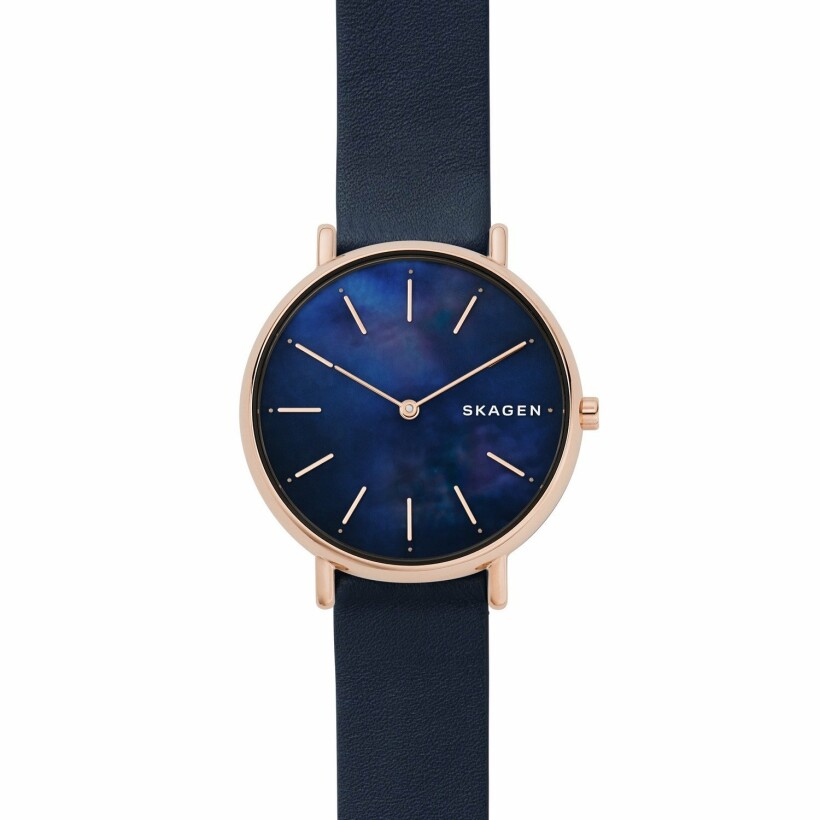 Montre Skagen Signatur Slim SKW2731