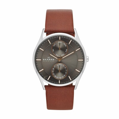 Montre Skagen Holst SKW6086