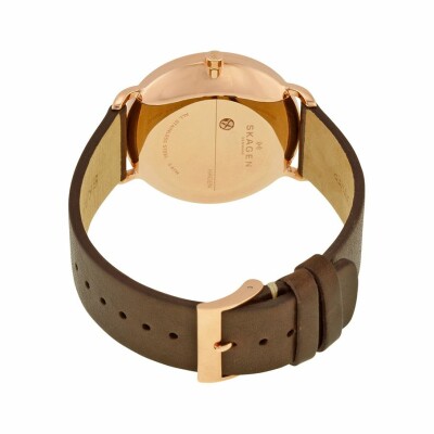 Montre Skagen Hagen SKW6213