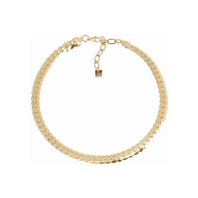 Collier Zag Baldo en acier doré